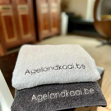 La Belletage By Agelandkaai Be With Free Parking * Ghent