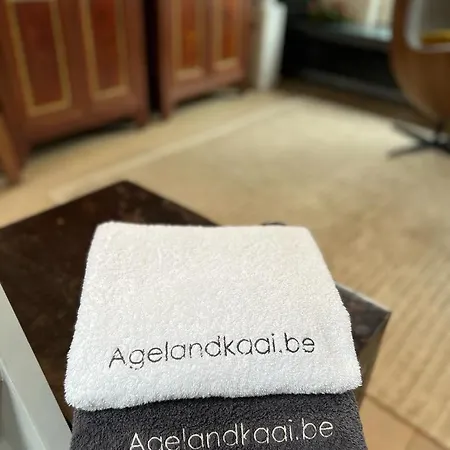 La Bellétage By Agelandkaai Be Lejlighed
