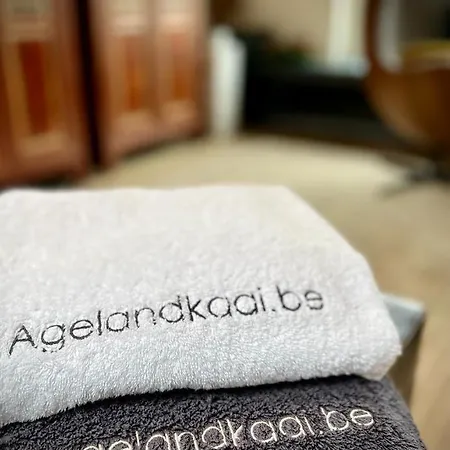 La Belletage By Agelandkaai Be With Free Parking Apartment *