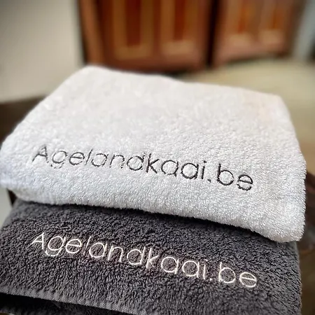 La Belletage By Agelandkaai Be With Free Parking Apartment
