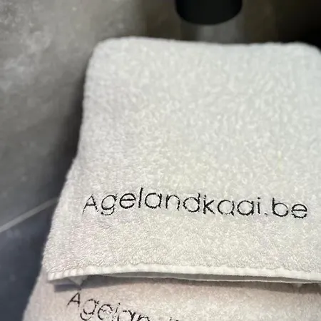 La Belletage By Agelandkaai Be With Free Parking Apartment